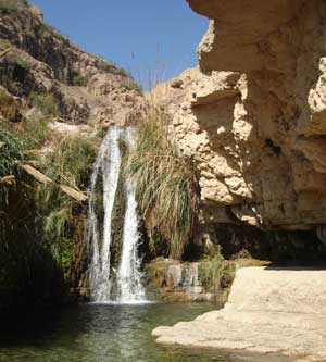 photo of waterfall